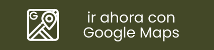 Ir ahora con Google Maps