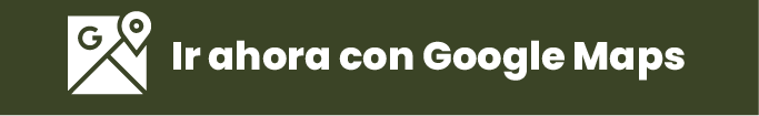 Cómo llegar con Google Maps